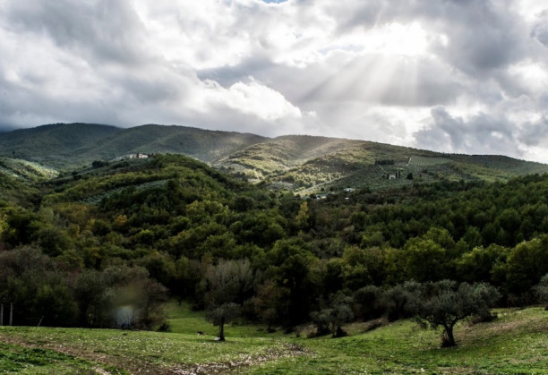 Tenuta San  Felice