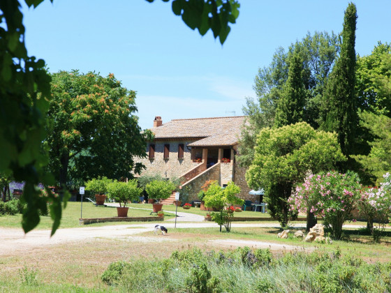 Podere Agrituristico Luchiano