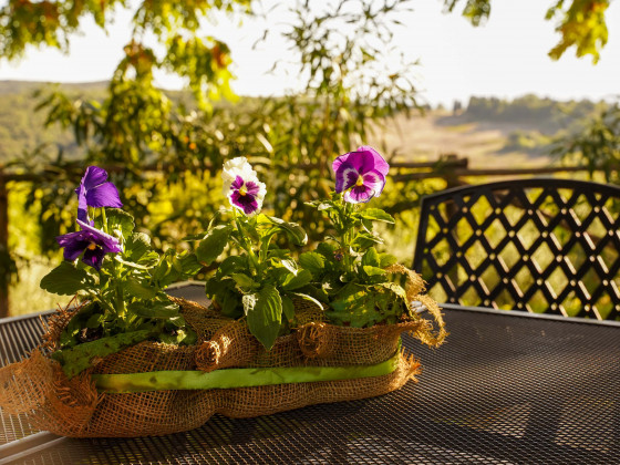 Podere Agrituristico Luchiano