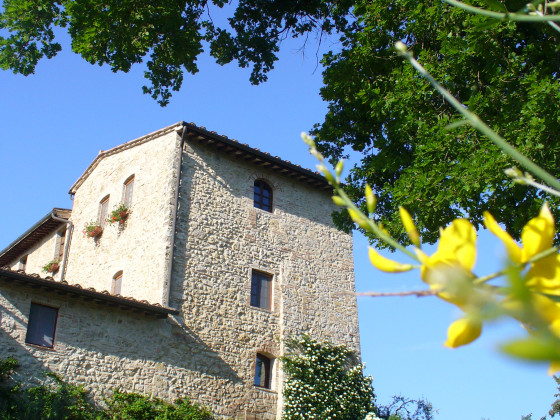 di charme fortezza de' cortesi