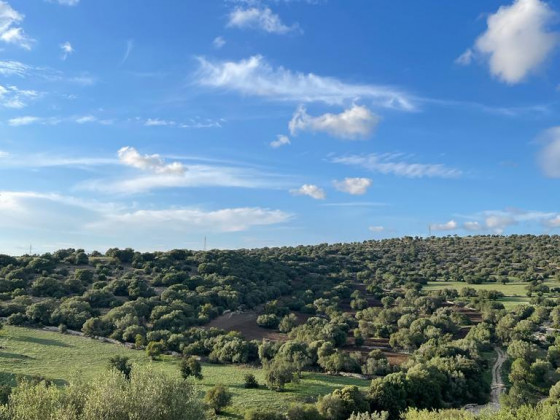 Oasi di pace nel verde