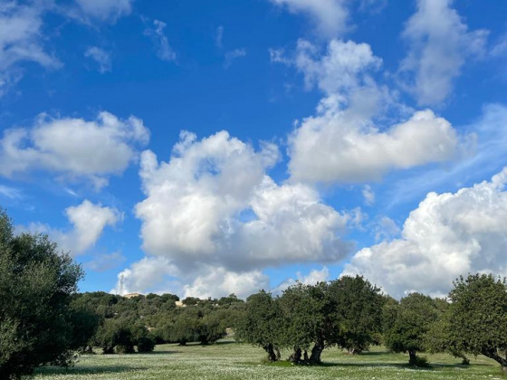 Oasi di pace nel verde