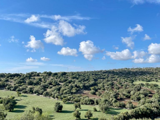 Oasi di pace nel verde