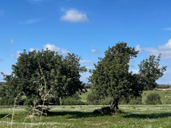 Oasi di pace nel verde