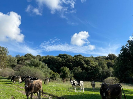 Oasi di pace nel verde