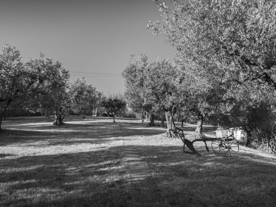 La Rocca Assisi