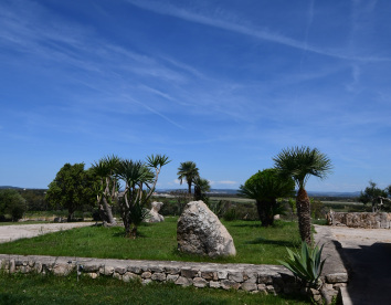 Fattoria la Traccia