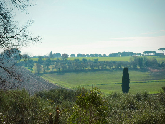 Casale dell'Assiolo