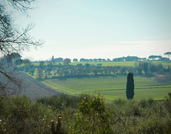 Casale dell'Assiolo foto 7