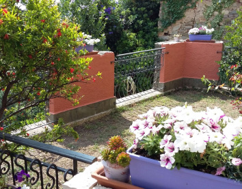 Lavanda in Fiore