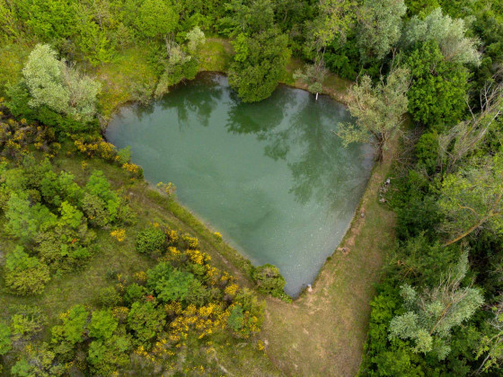 castel d'Alfiolo - Barcomonte  4470