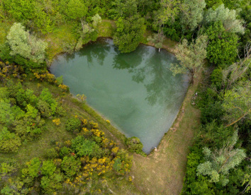 castel d'Alfiolo - Barcomonte  4470