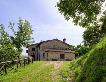 castel d'Alfiolo - Barcomonte  4470