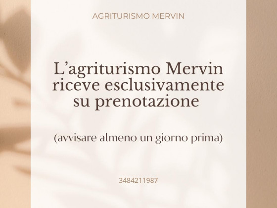 Mervin