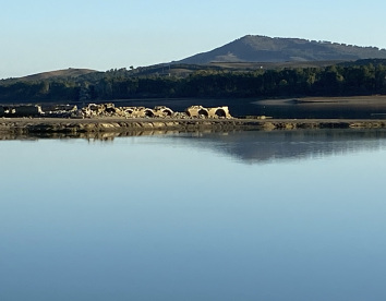 Tenuta Donna Maria