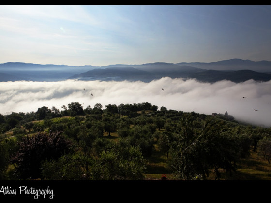 podere belvedere olistico