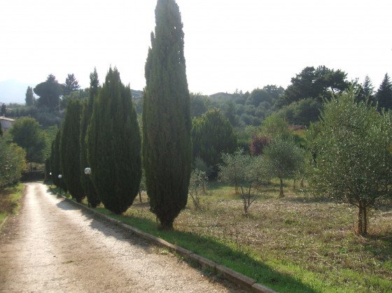 le colline