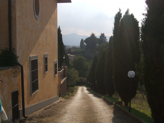 le colline