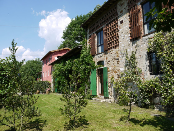 corte della rusticuccia