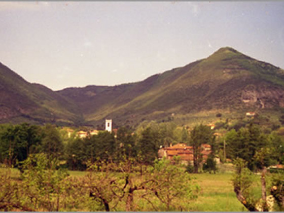 corte della rusticuccia