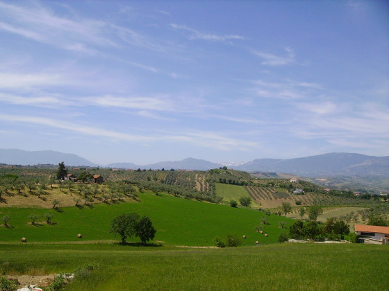 fattoria  colle luca