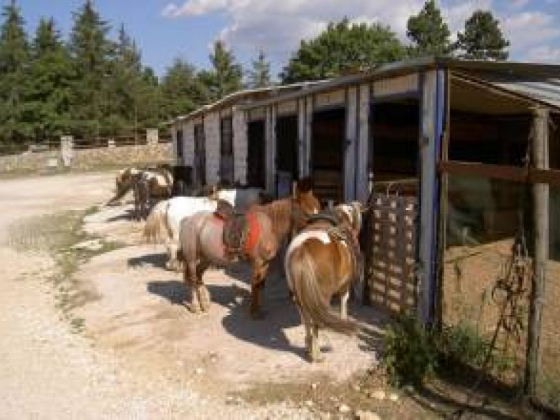 centro ippico vallecupa