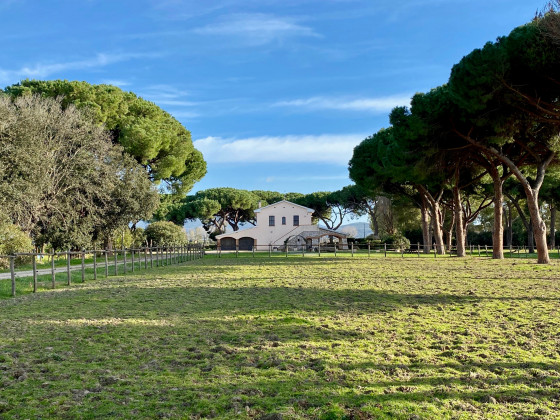 tenuta san carlo