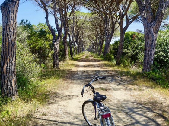 tenuta san carlo