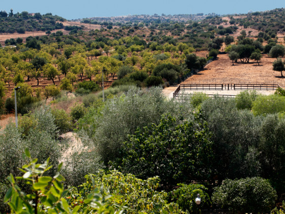 fattoria terra e libertà