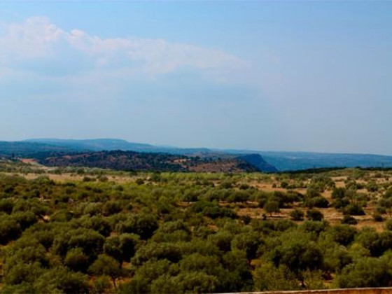 fattoria terra e libertà