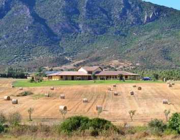 Farm-house Saludi E Trigu - Iglesias