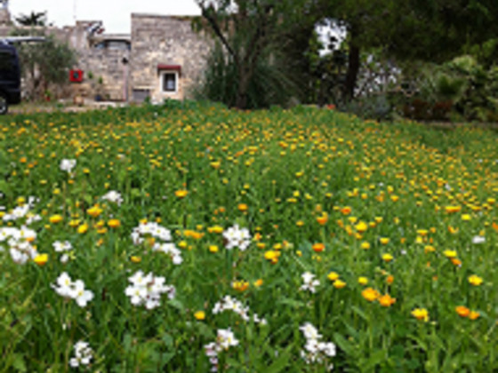 masseria palombara