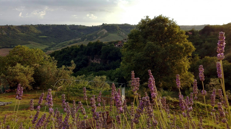 il poggio dell'artilla