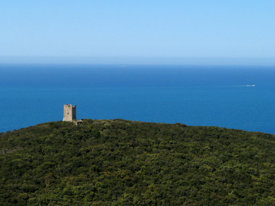 podere l'aione