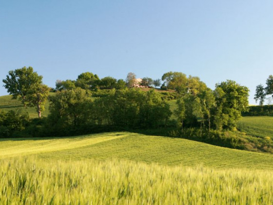 biologico pieve del colle fattoria didattica