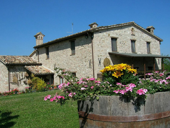 biologico pieve del colle fattoria didattica