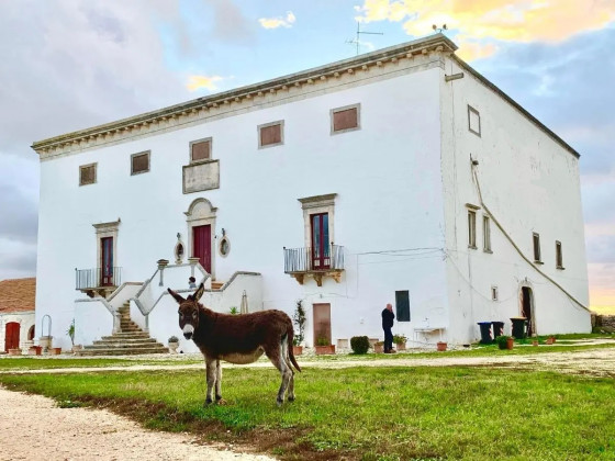 masseria murgia albanese