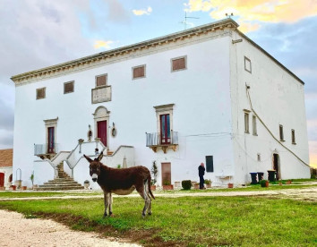 masseria murgia albanese foto 4