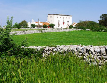 masseria murgia albanese foto 1