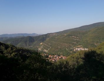 fattoria l'aurora