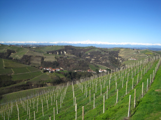 cascina bricchetto langhe