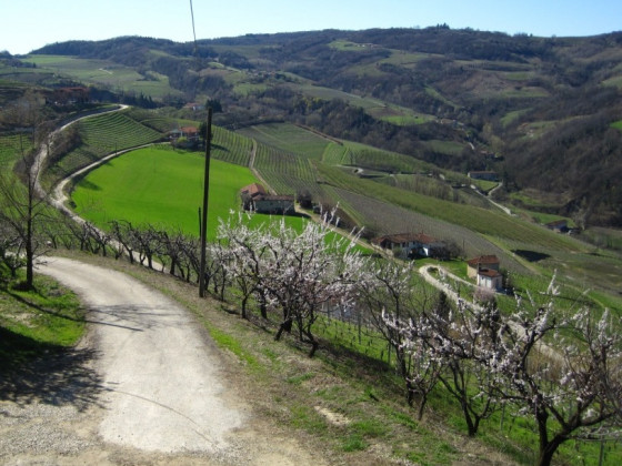 cascina bricchetto langhe