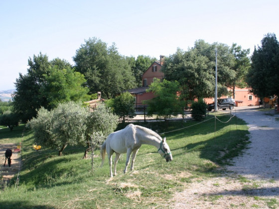 la meridiana