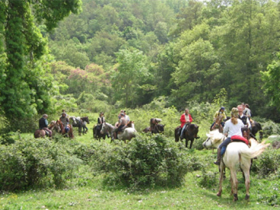 casale bonaparte