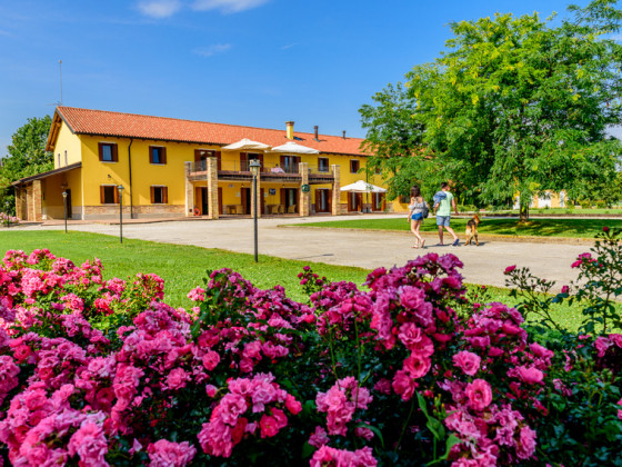 tenuta regina