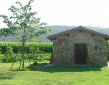 casa elisa