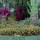 preview image11 giardino