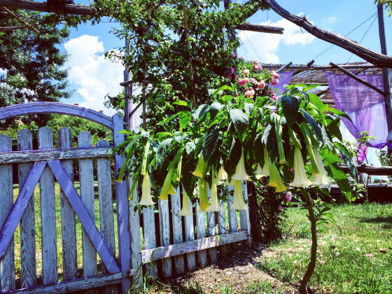 la fornacina country house