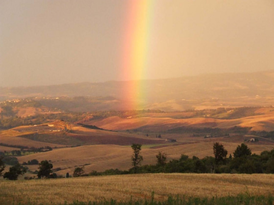 bioecologico podere lecceta