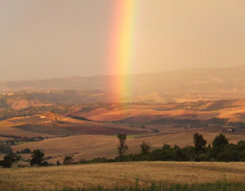 bioecologico podere lecceta foto 5